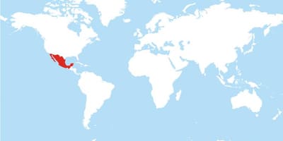 Zemljevid Mehike globalno